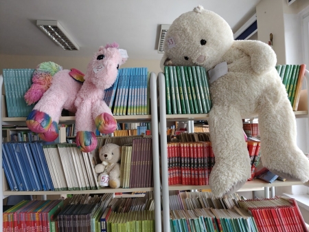 DZIEŃ MISIA W BIBLIOTECE